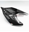 Weißes Design Carbon Heck - Ducati Panigale V4 / V4S / V4R / V2 / Streetfighter V4 / V2 