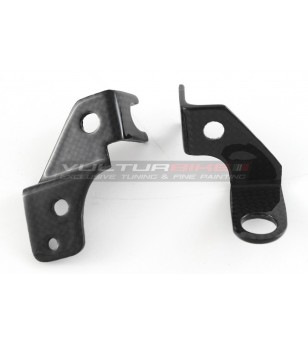 Carbon brake and clutch couplings set - Ducati Streetfighter V4 / V4S / V2