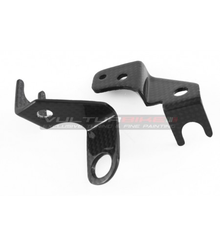 Carbon brake and clutch couplings set - Ducati Streetfighter V4 / V4S / V2
