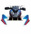 Dome stickers - BMW S1000XR 