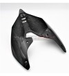Maßgeschneidertes Carbon-Heck - Ducati Panigale V4 / V4S / V4R / V2 2020 / Streetfighter V4 / V2 