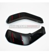 Cubierta personalizada del radiador de carbono - Ducati X Diavel 