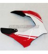 Carenado de carbono de diseño personalizado - Ducati Panigale V4R / V4 / V2 2020 / 2022 