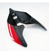 Cola de carbono pintado - Ducati Panigale V4 / V4S / V4R / V2 / Streetfighter V4 / V2 