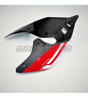 Painted carbon tail - Ducati Panigale V4 / V4S / V4R / V2 / Streetfighter V4 / V2