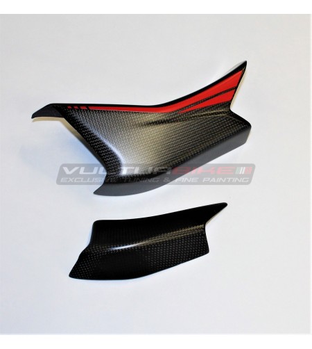 Cubierta de carbono de diseño personalizado para aletas - Ducati Multistrada V4 / V4S 