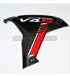 Custom Carbon Side Panels - Ducati Multistrada V4/ V4S 