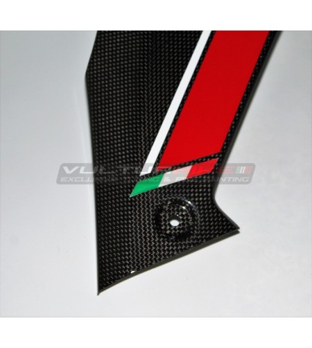 Paneles laterales de carbono personalizados - Ducati Multistrada V4 / V4S 
