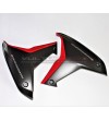 Paneles laterales de carbono personalizados con letras originales - Ducati Multistrada V4 / V4S 
