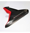 Paneles laterales de carbono personalizados con letras originales - Ducati Multistrada V4 / V4S 