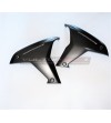 Carbon side panels with original lettering - Ducati Multistrada V4 / V4S 
