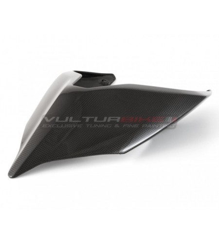 Kompletter Satz Carbon-Verkleidungen - Ducati Streetfighter V4 