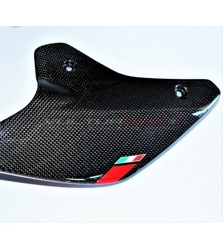 Queue en carbone personnalisée - Panigale Ducati V4 / V4R / V4S / V2 2020 / Streetfighter V2 - V4 