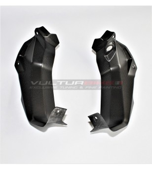 Carbon planks for fairing - Ducati Multistrada V4 / V4S / Pikes Peak