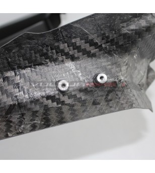 Tablones de carbono para carenado - Ducati Multistrada V4 / V4S / Pikes Peak