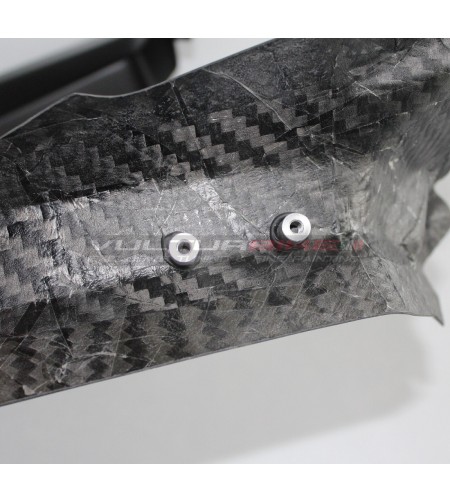 Carbon planks for windshield - Ducati Multistrada V4 