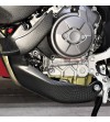 Plaque de protection en carbone - Ducati Multistrada V4 