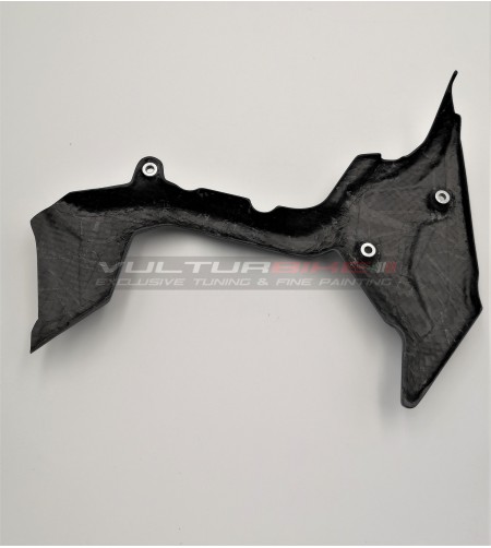 Tapa de la cabeza del motor y cubierta del piñón en carbono - Ducati Multistrada V4 