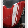 Stripe Edition Adhesive Bands Kit - Ducati Monster 797/821/1200
