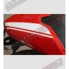 Adhesive strips' kit special Stripe Edition - Ducati Monster 797/821/1200