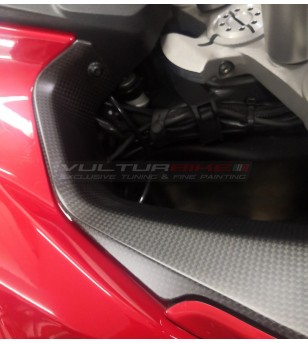 Planches de carbone pour bulle - Ducati Multistrada V4 / V4S / Pikes Peak