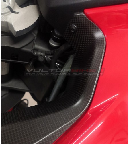 Carbon planks for windshield - Ducati Multistrada V4 