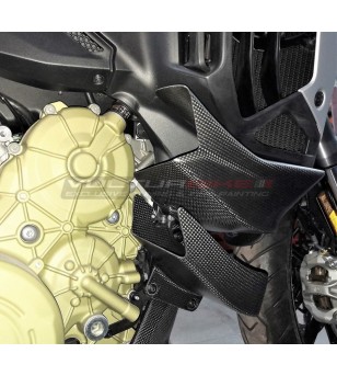 Juego de aletas de carbono - Ducati Multistrada V4