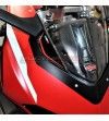 Pegatinas del marco del instrumento - Ducati Panigale V4 / V2 2020
