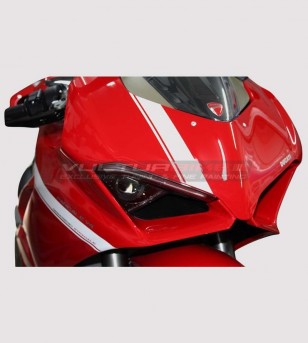 Klebesatz für exklusive Designverkleidungen - Ducati Panigale V4 / V4S / V4R