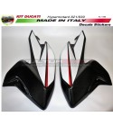 Stickers for side fairings - Ducati Hypermotard 821/939