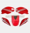 Gráficos personalizados - Ducati Monster 