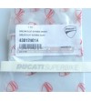 Emblema originale Ducati Superbike colore argento 