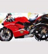 Individuelle Klebesets für Straßen- und Rennverkleidungen - Ducati Panigale V4 