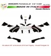 Kit autocollant 25ème anniversaire 916 Carl Fogarty - Ducati Panigale V4 / V4S / V4R 