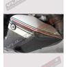 Adesivo Puntale - Ducati Multistrada 1200