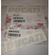 Par de calcomanías originales Ducati color aluminio cepillado