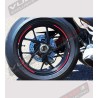 Kit 9 perfiles adhesivos para ruedas - Ducati Panigale v4 / V4R 
