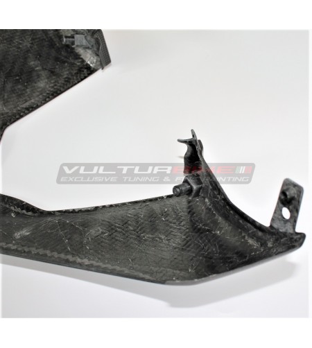 Parabrisas de carbono - Ducati Multistrada V4 