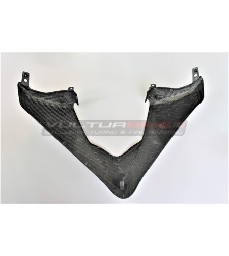 Parabrisas de carbono - Ducati Multistrada V4 
