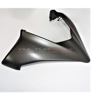 Carbon Windscreen - Ducati Multistrada V4 / V4S / Rally