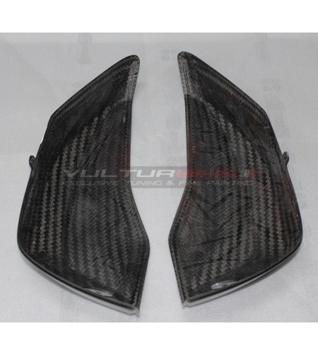 Custom Carbon Koffer Abdeckung - Ducati Multistrada V4 / Pikes Peak / Rally