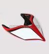 Codino Carbonio Versione Strada - Ducati Panigale V2- V4 Streetfighter V2 V4