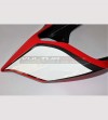 Codino Carbonio Versione Strada - Ducati Panigale V2- V4 Streetfighter V2 V4