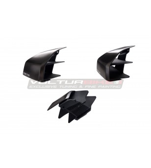 Ailettes en carbone GP winglets - Ducati Streetfighter V4 / V4S