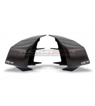 GP winglets carbon fins - Ducati Streetfighter V4 / V4S
