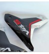 Panneaux latéraux en carbone - Ducati Multistrada V4S (ICEBERG WHITE) 