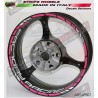 Universal colored Factory Racing stickers 