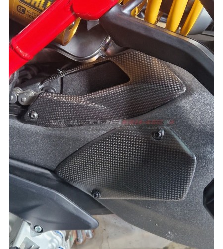 Protezione in carbonio monobraccio - Ducati Multistrada V4 Pikes Peak 