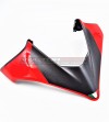 Komplette Front - Ducati Multistrada V4 / V4S / Rally 