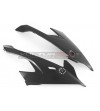 Carbon side fairings - BMW S 1000RR 2019 / 2021